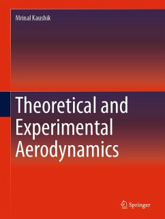 Theoretical and Experimental Aerodynamics (eBook, PDF) - Kaushik, Mrinal