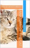 Anatomy of the Cat (eBook, PDF)