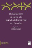 Problemáticas en torno a la multidisciplinariedad del derecho (eBook, ePUB)