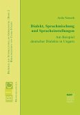 Dialekt, Sprachmischungen und Spracheinstellungen (eBook, PDF)