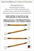 Reflexões e práticas em pedagogia universitária (eBook, ePUB)