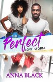 The Perfect Love Storm (eBook, ePUB) The Perfect Love Storm (eBook, ePUB)