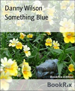 Something Blue (eBook, ePUB) - Wilson, Danny