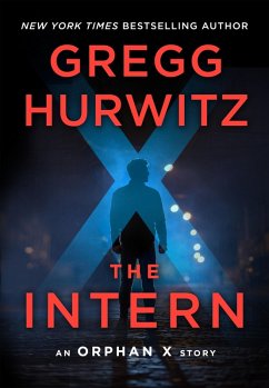 Cover The Intern (eBook, ePUB)