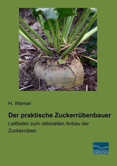 Der praktische Zuckerrübenbauer - Werner, H.