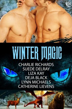 Cover Winter Magic (eBook, ePUB)