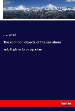 The common objects of the sea-shore