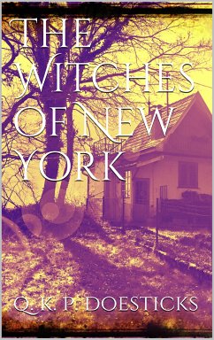 The Witches of New York (eBook, ePUB) - Doesticks, Q. K. Philander