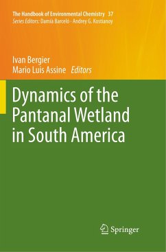 Dynamics of the Pantanal Wetland in South America