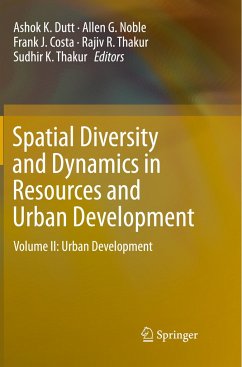 Spatial Diversity and Dynamics in Resources and Urban Development