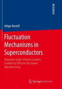Fluctuation Mechanisms in Superconductors - Bartolf, Holger