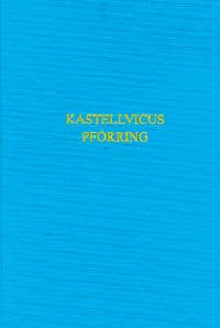 Der römische Kastellvicus von Pförring