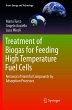 Treatment of Biogas for Feeding High... - Bild 1