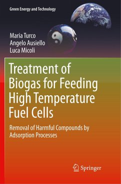 Treatment of Biogas for Feeding High Temperature Fuel Cells - Turco, Maria;Ausiello, Angelo;Micoli, Luca