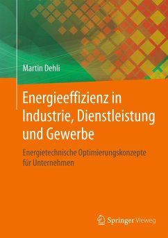 Energieeffizienz in Industrie, Dienstleistung und Gewerbe - Dehli, Martin