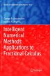 Intelligent Numerical Methods:... - Bild 1
