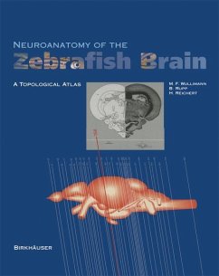 Neuroanatomy of the Zebrafish Brain - Wulliman, Mario F.;Rupp, Barbara;Reichert, Heinrich