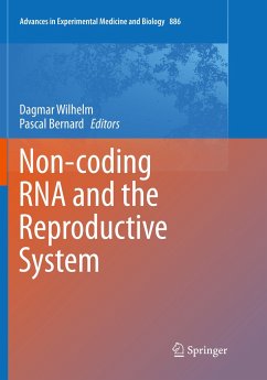 Non-coding RNA and the Reproductive System