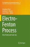 Electro-Fenton Process