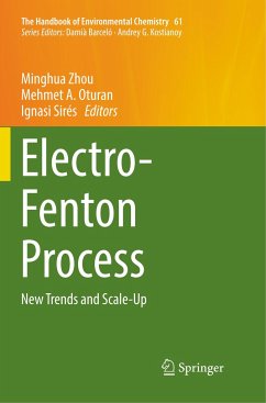 Electro-Fenton Process