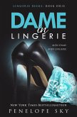 Dame in Lingerie (Lingerie (Dutch), #3) (eBook, ePUB)