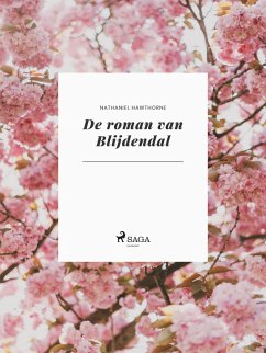 Cover De roman van Blijdendal (eBook, ePUB)