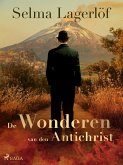 De wonderen van den Antichrist (eBook, ePUB)