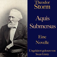 Theodor Storm: Aquis submersus (MP3-Download) - Storm, Theodor
