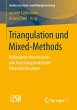 Triangulation und Mixed-Methods - Bild 1