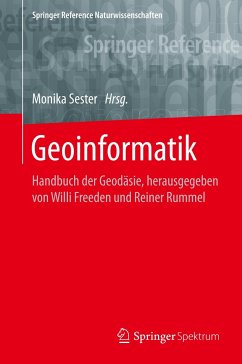 Geoinformatik