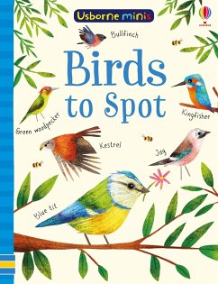 Birds to Spot - Robson, Kirsteen;Smith, Sam