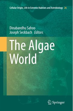 The Algae World