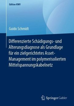 Differenzierte Schädigungs- und Alterungsdiagnose als Grundlage für ein zielgerichtetes Asset-Management im polymerisolierten Mittelspannungskabelnetz - Schmidt, Guido