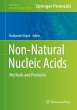Non-Natural Nucleic Acids - Bild 1