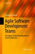 Agile Software Development Teams - Bild 1