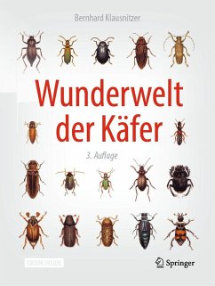 Wunderwelt der Käfer - Klausnitzer, Bernhard