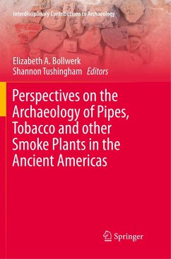 Perspectives on the Archaeology of Pipes, Tobacco and other Smoke Plants in the Ancient Americas