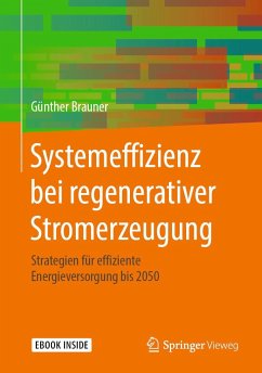 Systemeffizienz bei regenerativer Stromerzeugung - Brauner, Günther