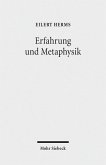 Erfahrung und Metaphysik (eBook, PDF)