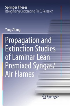 Propagation and Extinction Studies of Laminar Lean Premixed Syngas/Air Flames - Zhang, Yang