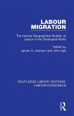 Labour Migration (eBook, PDF)