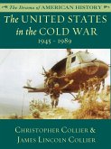 United States in the Cold War (eBook, ePUB)