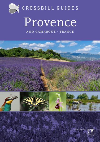 Provence Provence