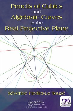 Pencils of Cubics and Algebraic Curves in the Real Projective Plane (eBook, PDF) - Fiedler - Le Touzé, Séverine