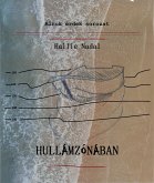 Hullámzónában (eBook, ePUB)