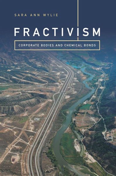 Fractivism (eBook, PDF)