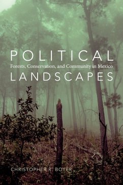 Political Landscapes (eBook, PDF) - Christopher R. Boyer, Boyer