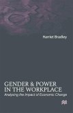 Gender and Power in the Workplace (eBook, PDF)