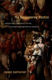 Disappearing Mestizo (eBook, PDF)