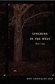 Lynching in the West (eBook, PDF)